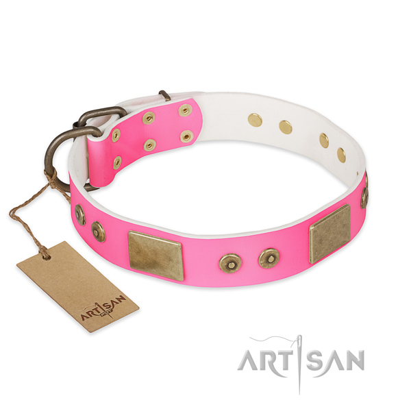 Easy adjustable full grain genuine leather dog collar for everyday walking your four-legged friend