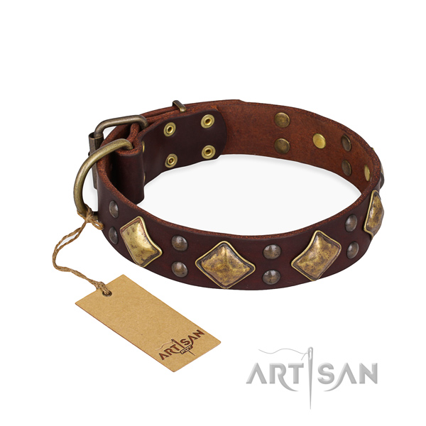 Stylish walking comfortable dog collar with corrosion proof fittings