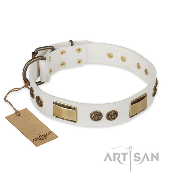 Studded full grain leather dog collar for fancy walking