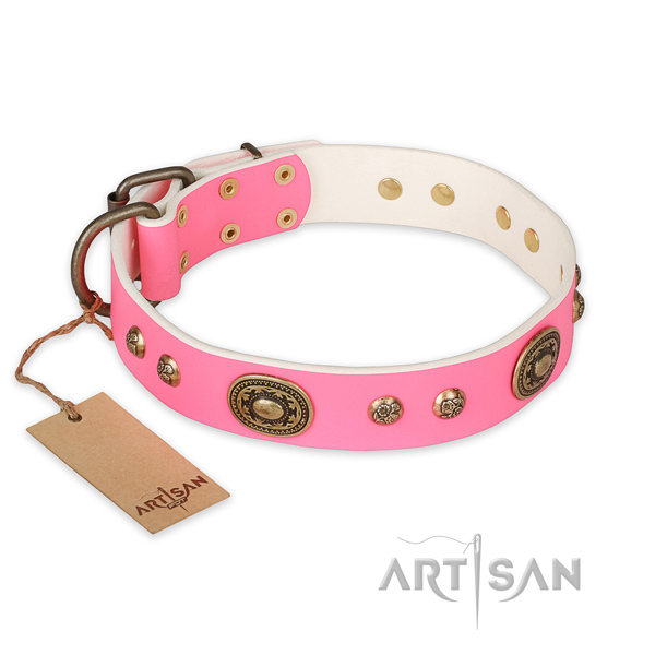 Designer genuine leather dog collar for basic training