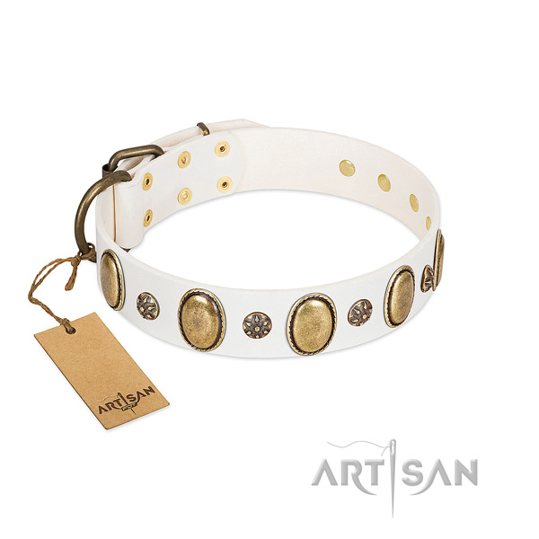 Stylish walking quality leather dog collar with decorations