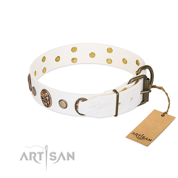 Durable D-ring on natural genuine leather collar for basic training your doggie