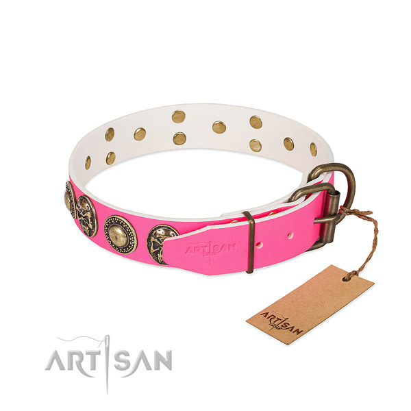 Rust resistant buckle on everyday walking dog collar