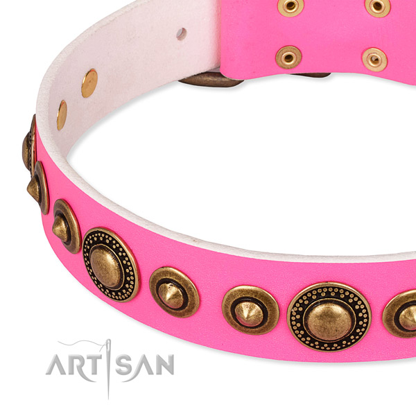 High quality full grain natural leather dog collar handcrafted for your lovely four-legged friend