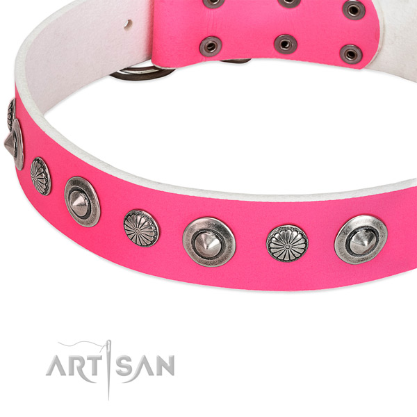 Natural leather collar with corrosion proof buckle for your stylish dog