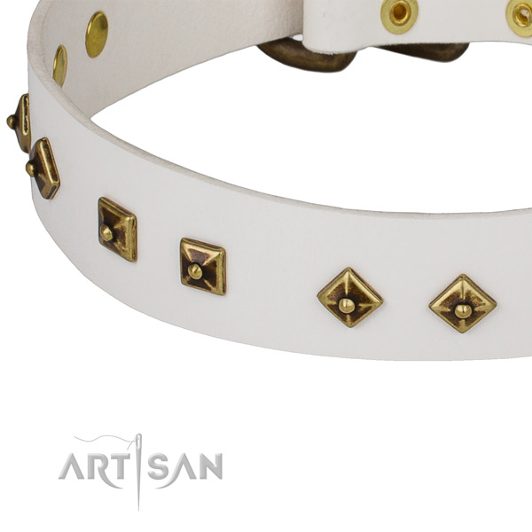 Fashionable genuine leather collar for your impressive dog