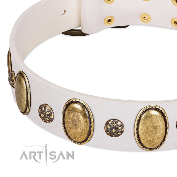 Stylish walking soft leather dog collar with studs