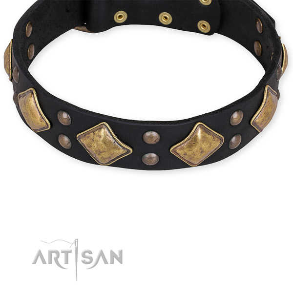 Full grain genuine leather dog collar with remarkable rust resistant embellishments