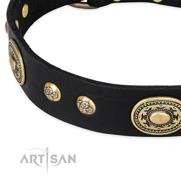 Top notch genuine leather collar for your handsome four-legged friend