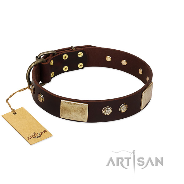 Easy to adjust full grain leather dog collar for basic training your four-legged friend