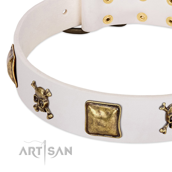 Fashionable genuine leather dog collar with strong embellishments