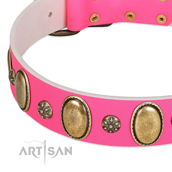 Durable full grain natural leather dog collar with reliable traditional buckle