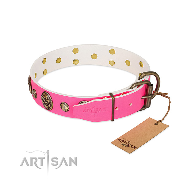 Corrosion proof embellishments on genuine leather dog collar for your canine