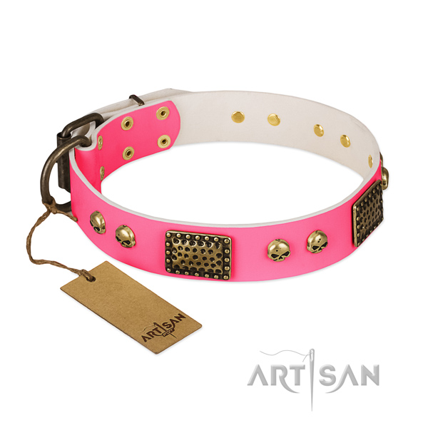 Easy wearing full grain natural leather dog collar for everyday walking your canine