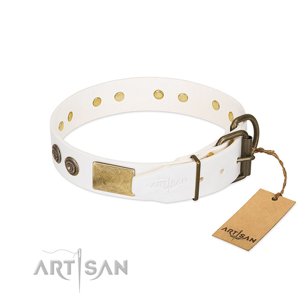 Corrosion proof buckle on natural genuine leather collar for daily walking your pet