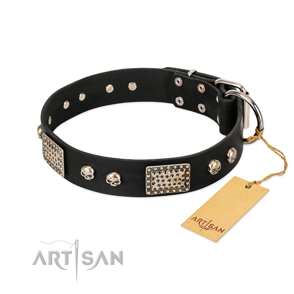 Easy to adjust full grain leather dog collar for stylish walking your dog