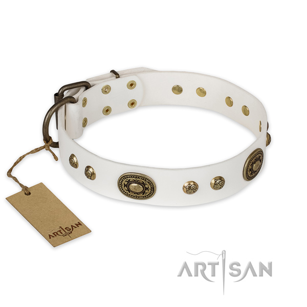 Fashionable full grain genuine leather dog collar for basic training