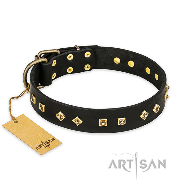 Handmade genuine leather dog collar with corrosion resistant fittings