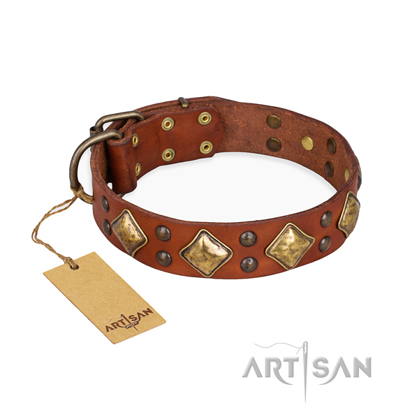 Stylish walking fashionable dog collar with corrosion resistant D-ring