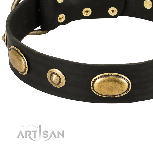 Rust resistant studs on full grain leather dog collar for your dog