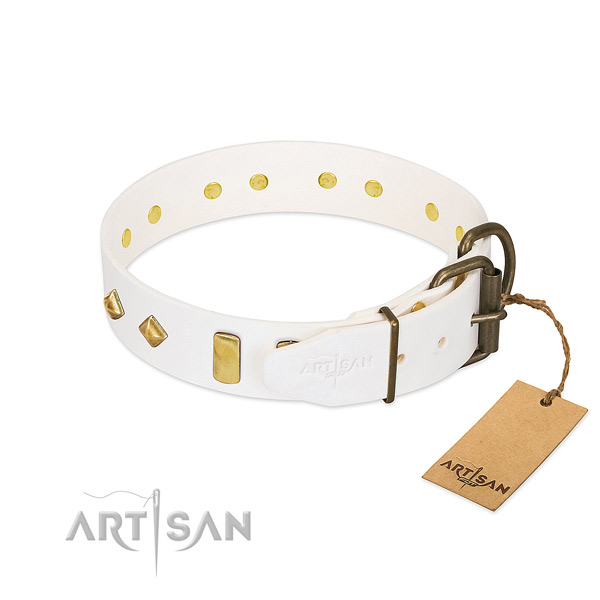Quality natural leather dog collar with corrosion resistant traditional buckle