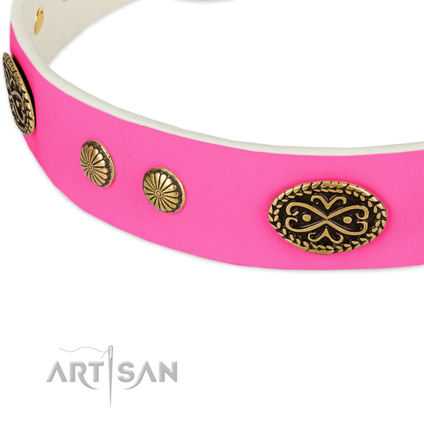 Corrosion resistant traditional buckle on leather dog collar for your dog