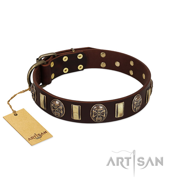 Adjustable full grain genuine leather dog collar for daily walking