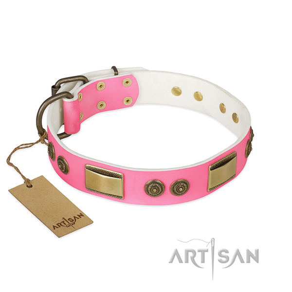 Extraordinary genuine leather dog collar for daily walking