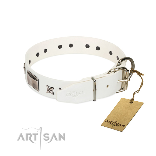 Amazing collar of full grain leather for your lovely pet