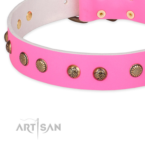 Handcrafted leather collar for your impressive dog