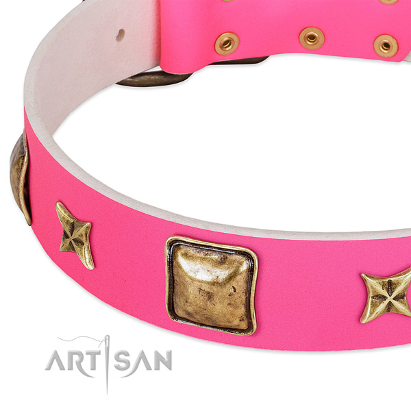 Full grain leather dog collar with stylish decorations