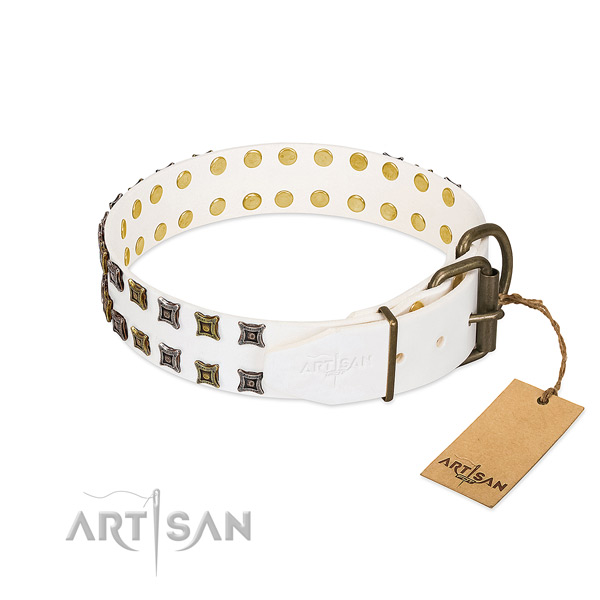Full grain natural leather collar with extraordinary embellishments for your pet