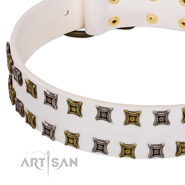 Full grain leather dog collar with studs for your stylish canine