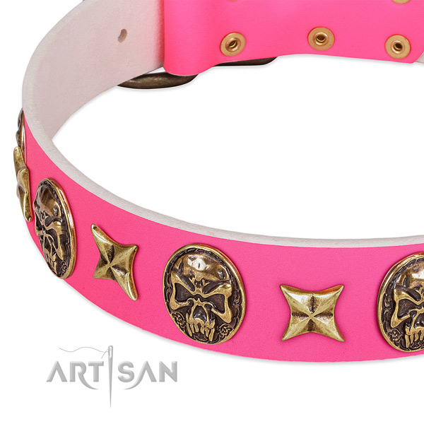 Full grain genuine leather dog collar with trendy embellishments