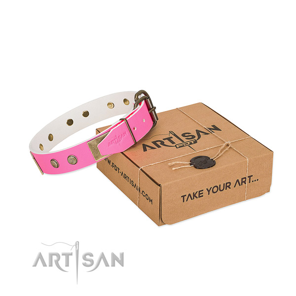 Rust resistant studs on dog collar for comfy wearing