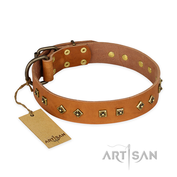 Remarkable full grain natural leather dog collar with corrosion proof buckle