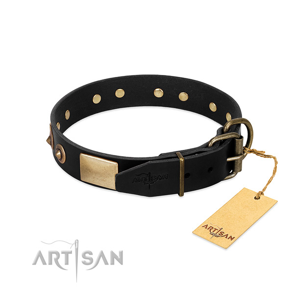 Strong embellishments on comfortable wearing dog collar