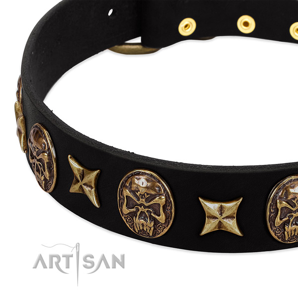 Durable buckle on leather dog collar for your dog