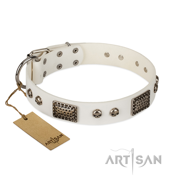 Easy adjustable full grain natural leather dog collar for everyday walking your dog