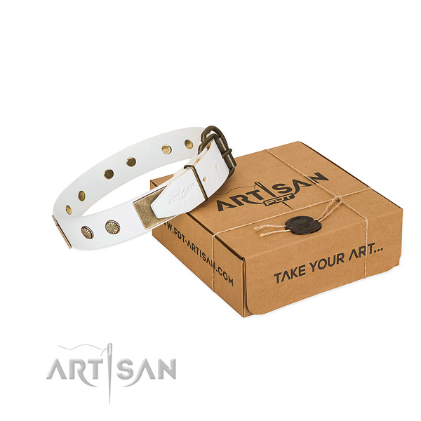 Rust resistant D-ring on dog collar for comfortable wearing
