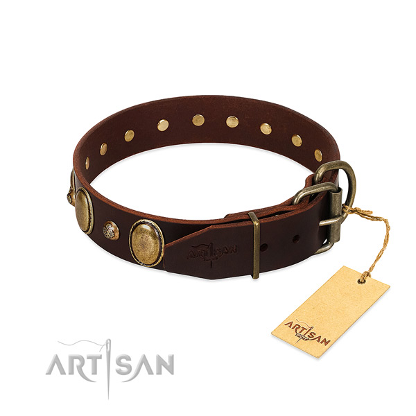 Strong hardware on natural genuine leather collar for stylish walking your canine