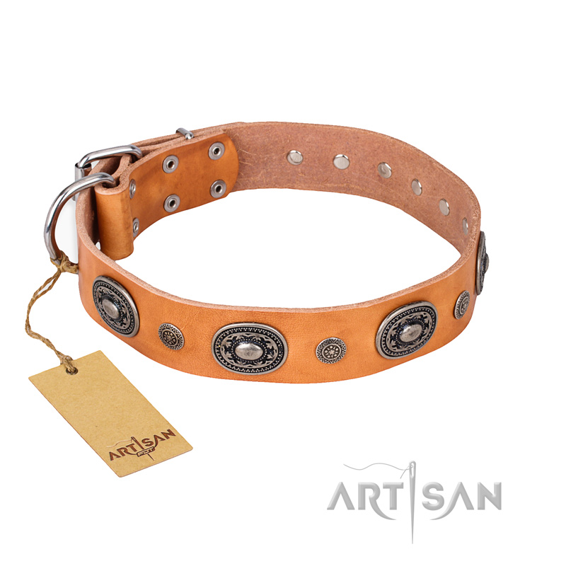 Toy dog collars and leashes sale