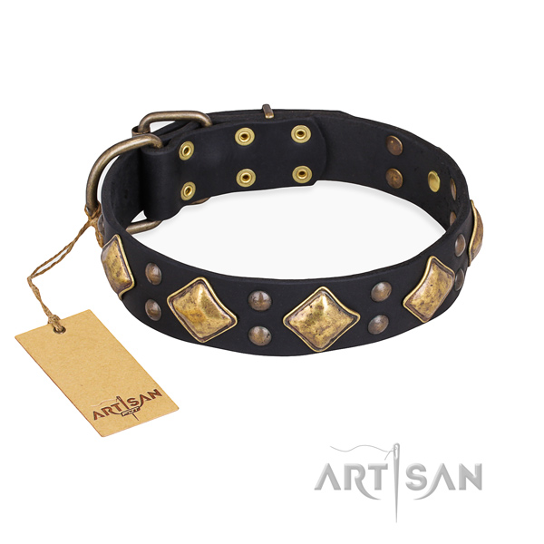 Everyday walking amazing dog collar with corrosion proof fittings