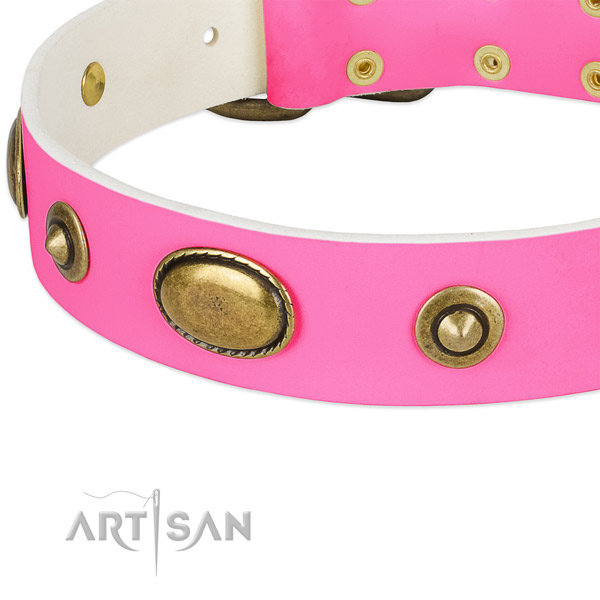 Corrosion resistant studs on natural leather dog collar for your pet