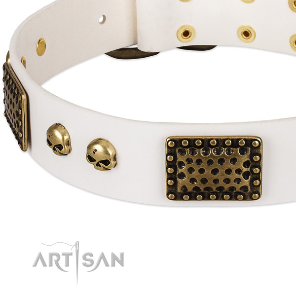 Corrosion proof adornments on leather dog collar for your dog