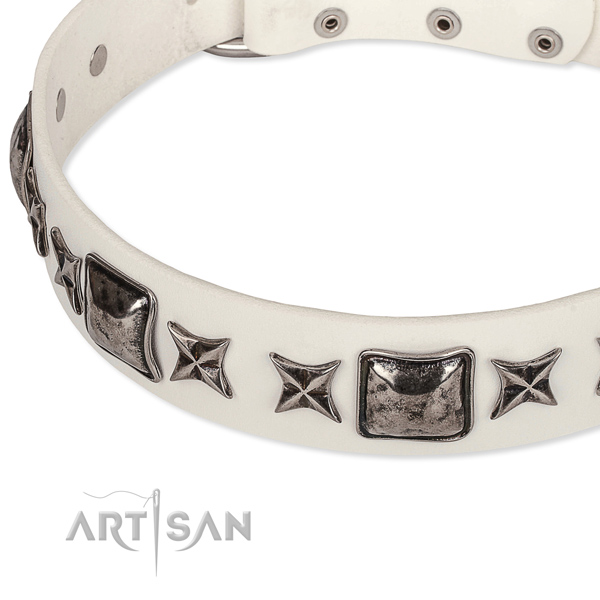 Everyday use embellished dog collar of reliable full grain natural leather