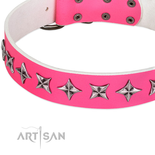 Daily use studded dog collar of best quality genuine leather