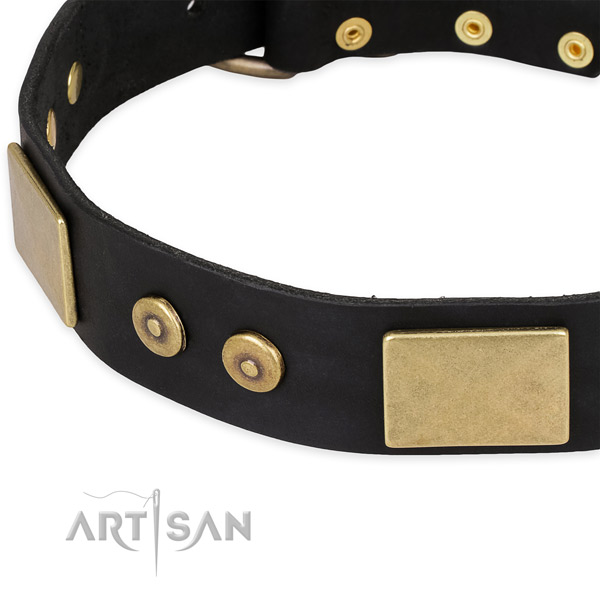 Rust resistant hardware on leather dog collar for your doggie