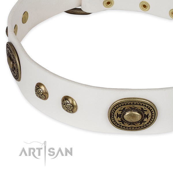 Unusual full grain leather collar for your lovely four-legged friend