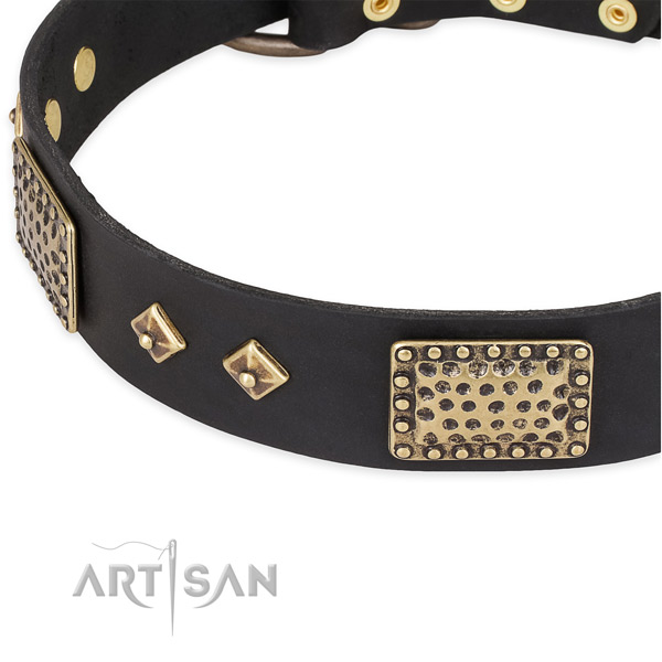 Rust-proof traditional buckle on full grain natural leather dog collar for your canine